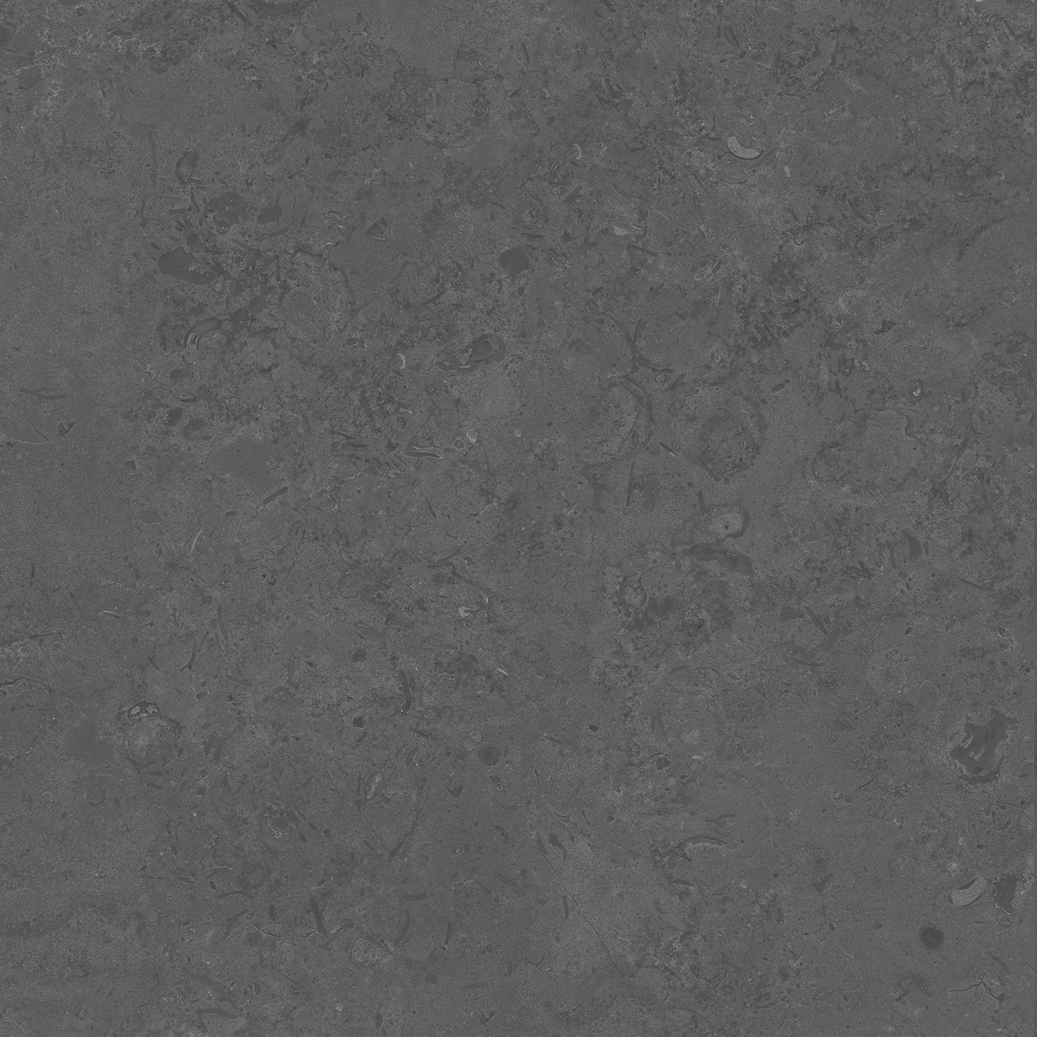 Керамический гранит Kerama Marazzi Про Лаймстоун DD640820R серый темный натуральный обрезной 60х60 см