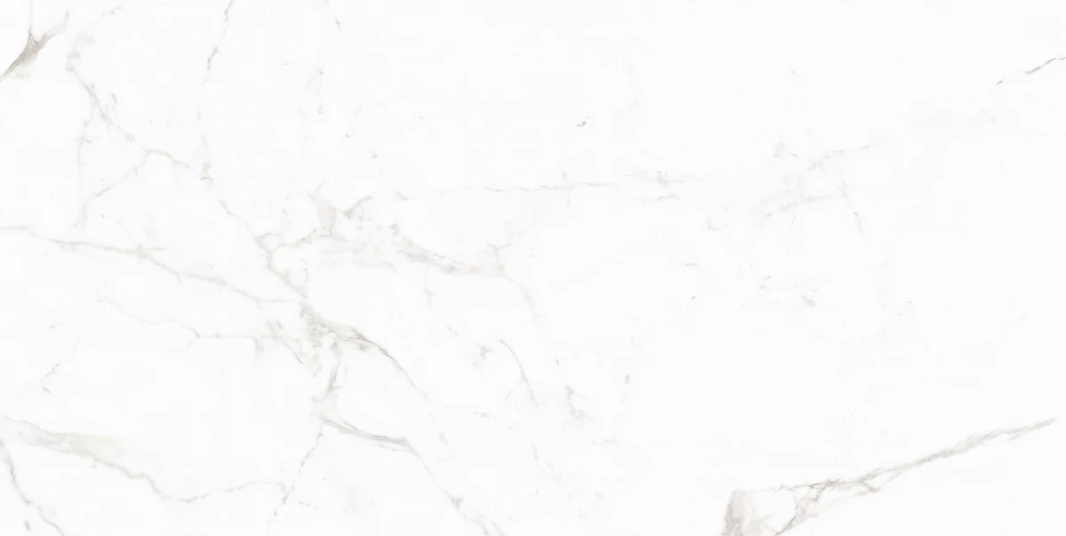 Керамический гранит MAIMOON CERAMICA 12053 Carving матовый 60х120