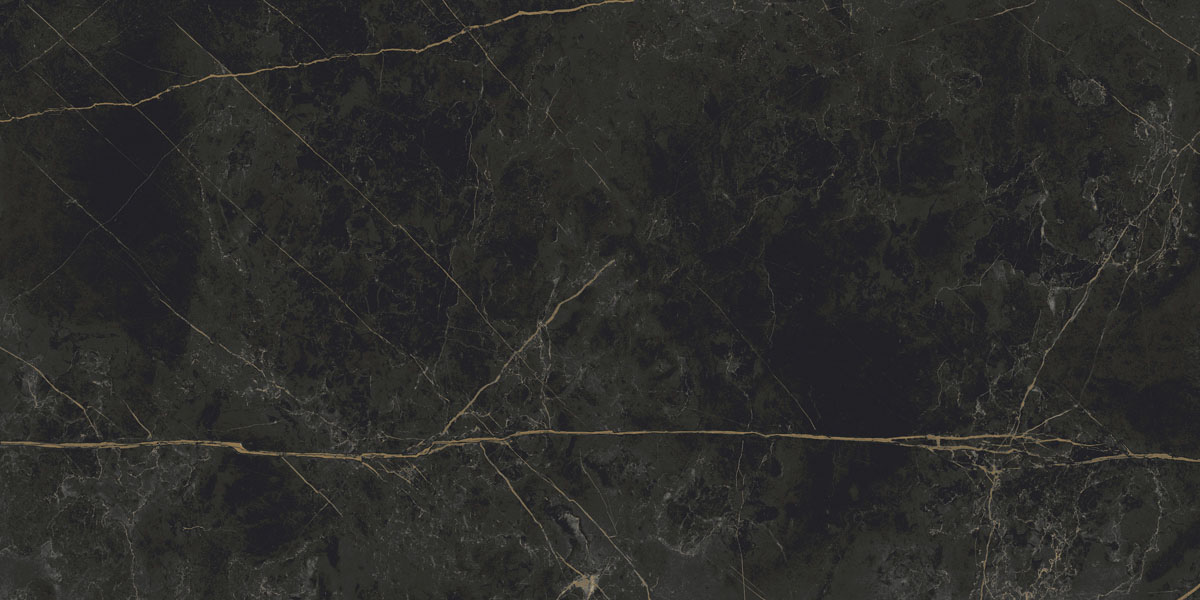 Керамический гранит Sandra CF013 MR матовый черно-оливковый 600х1200