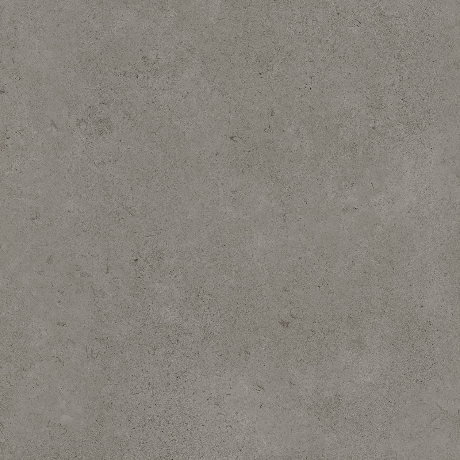 Керамический гранит Primavera Суган Matt 60x60 NG139