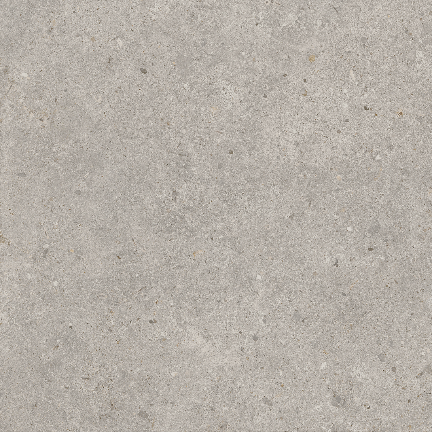 Керамический гранит Kerama Marazzi Риккарди SG653720R серый светлый матовый обрезной 60х60