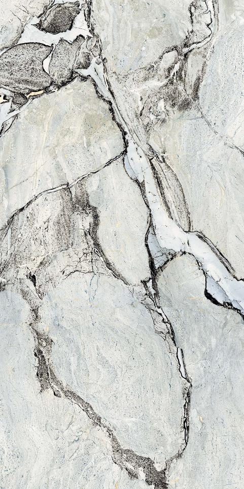 Керамический гранит Primavera Stoneart Metal carving 60x120 CR216 матовый