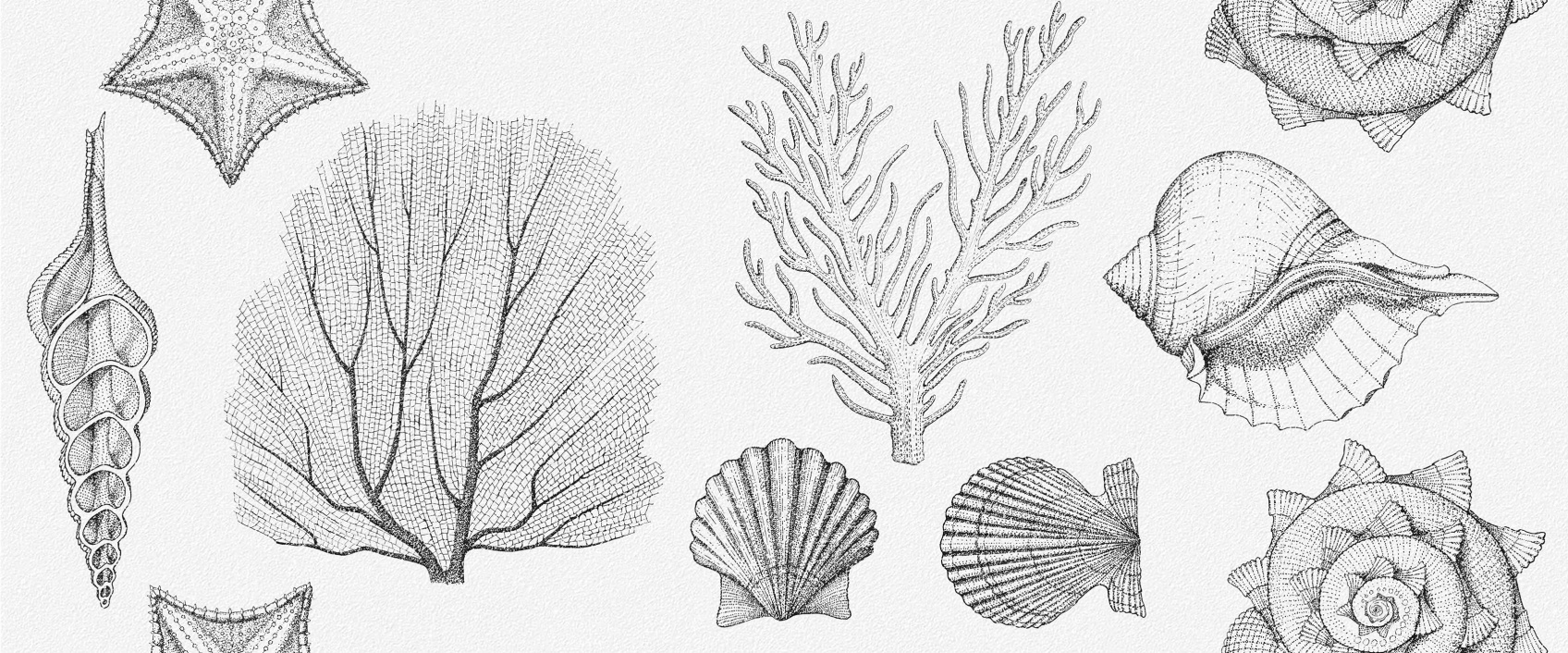 Керамическая плитка Gracia Сeramica Aqua white wall 01