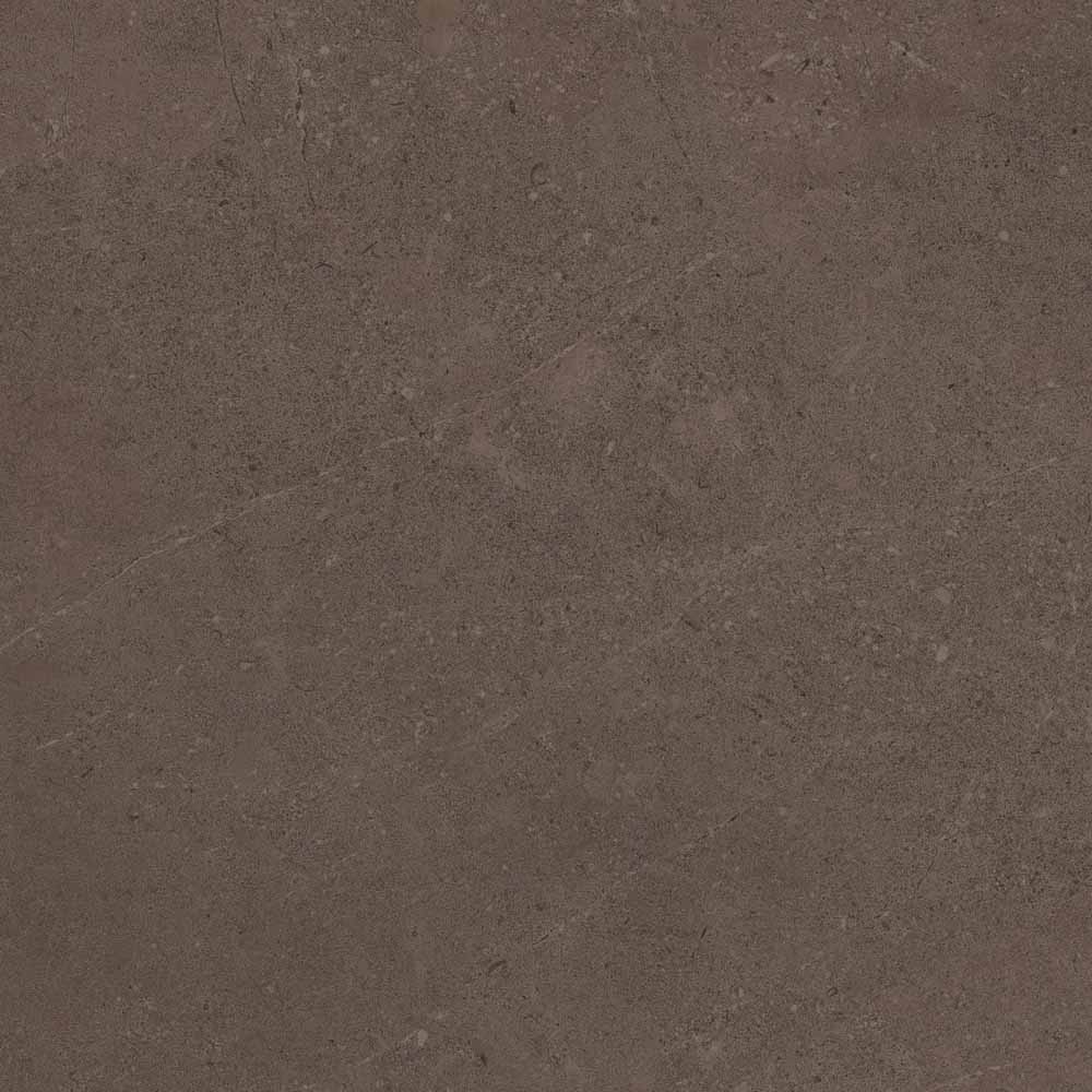 Керамический гранит Estima Gobi GO03 Brown Grey неполированный 60x60