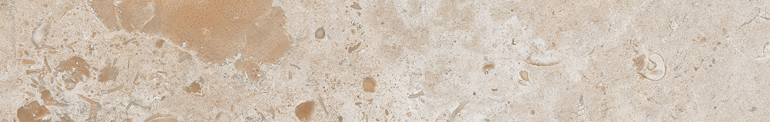 Керамический плинтус Kerama Marazzi Про Лаймстоун DD205420R\3BT бежевый темный натуральный обрезной 95х600 в Уфе — купить с доставкой | Nova