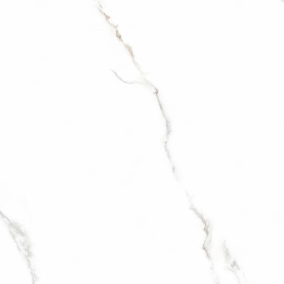 Керамический гранит Lasselsberger Ceramics Иней 6461-0411 60х60 белый