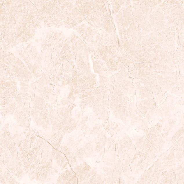 Керамический гранит Primavera Джимара TP66M11 матовый