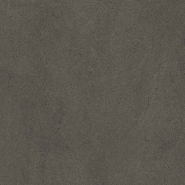 Керамический гранит Estima Gobi GO11 Grey неполированный 60x60