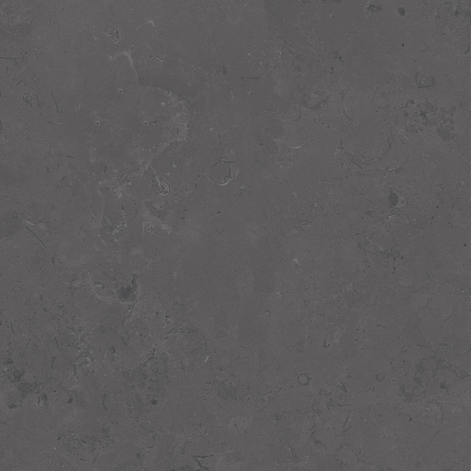 Керамический гранит Kerama Marazzi Про Лаймстоун DD640820R серый темный натуральный обрезной 60х60 см