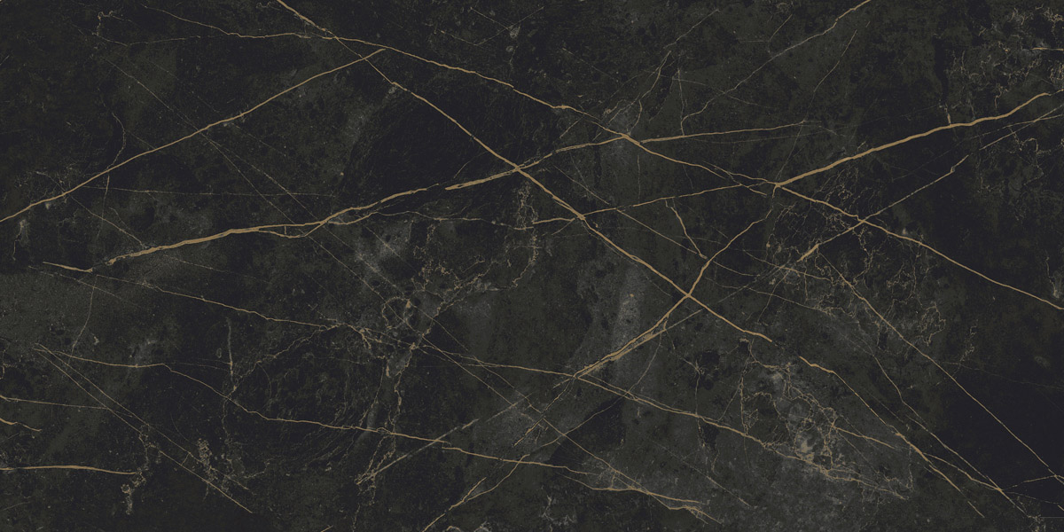 Керамический гранит Sandra CF013 MR матовый черно-оливковый 600х1200