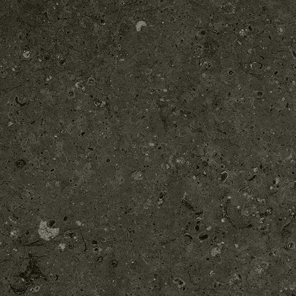 Керамический гранит Гранитея Аркаим G215 черный матовый 600x600x10