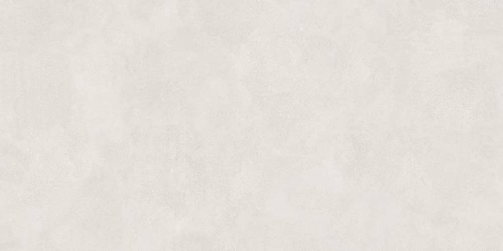 Керамический гранит Lasselsberger Ceramics Иней 6493-0137 60х120 светло-серый