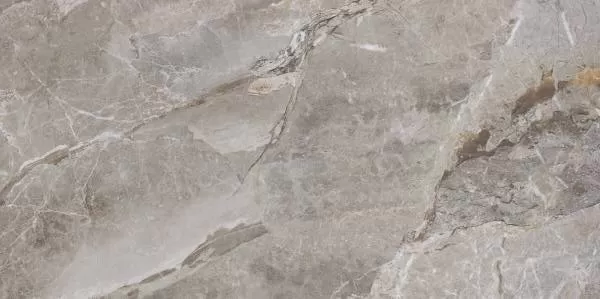 Керамический гранит Primavera Essence Grey 60х120 PR209 полированный