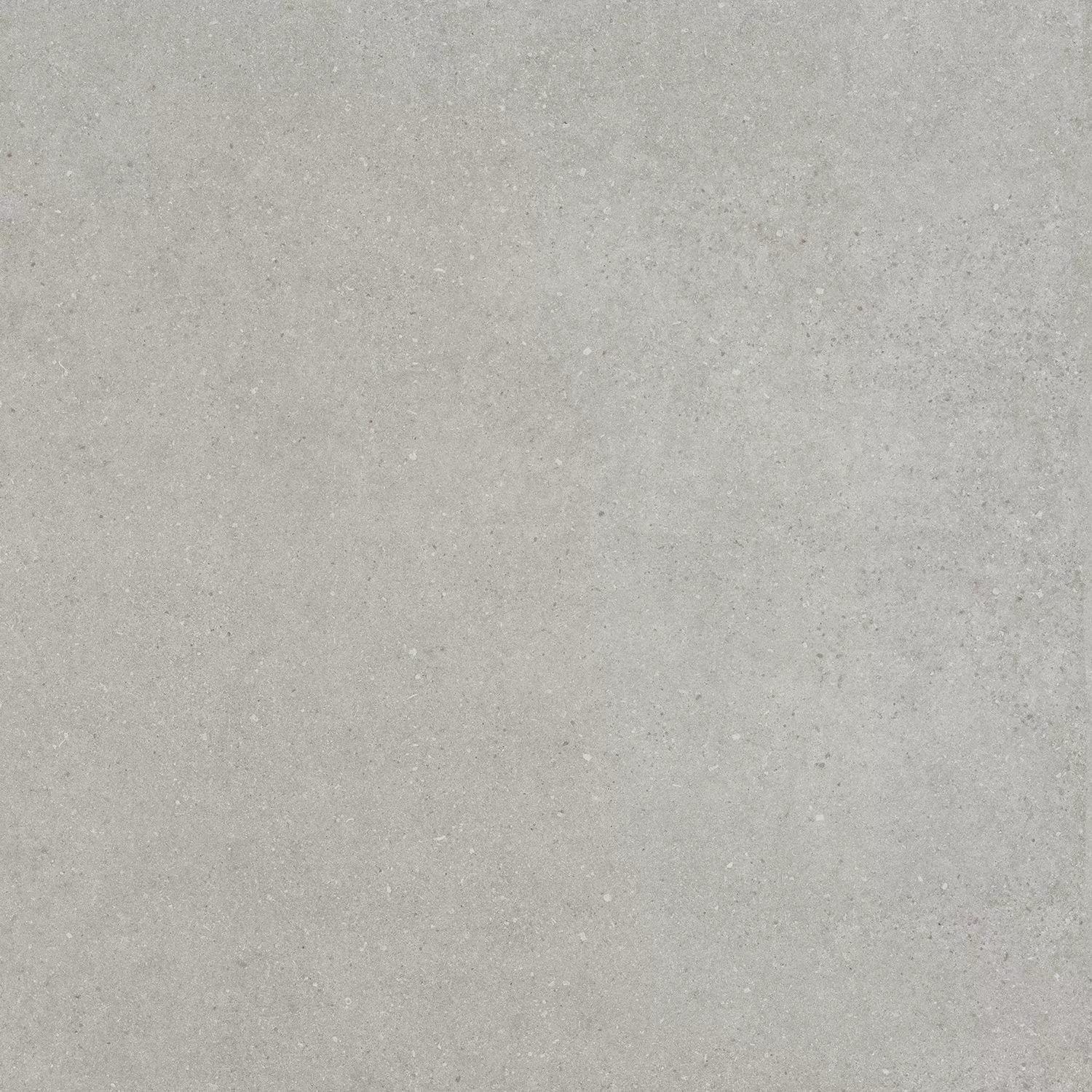 Керамический гранит Kerama Marazzi Монсеррат SG647520R серый светлый натуральный обрезной (ст.арт. SG647500R) 60х60