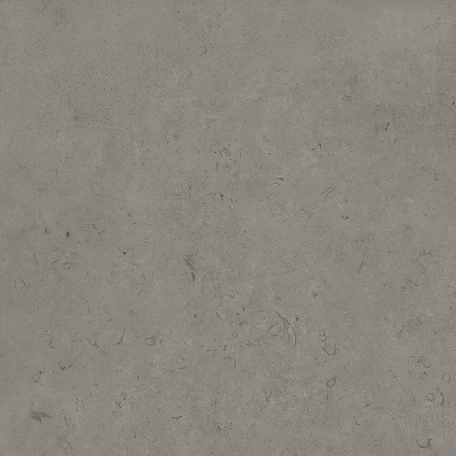 Керамический гранит Primavera Суган Matt 60x60 NG139