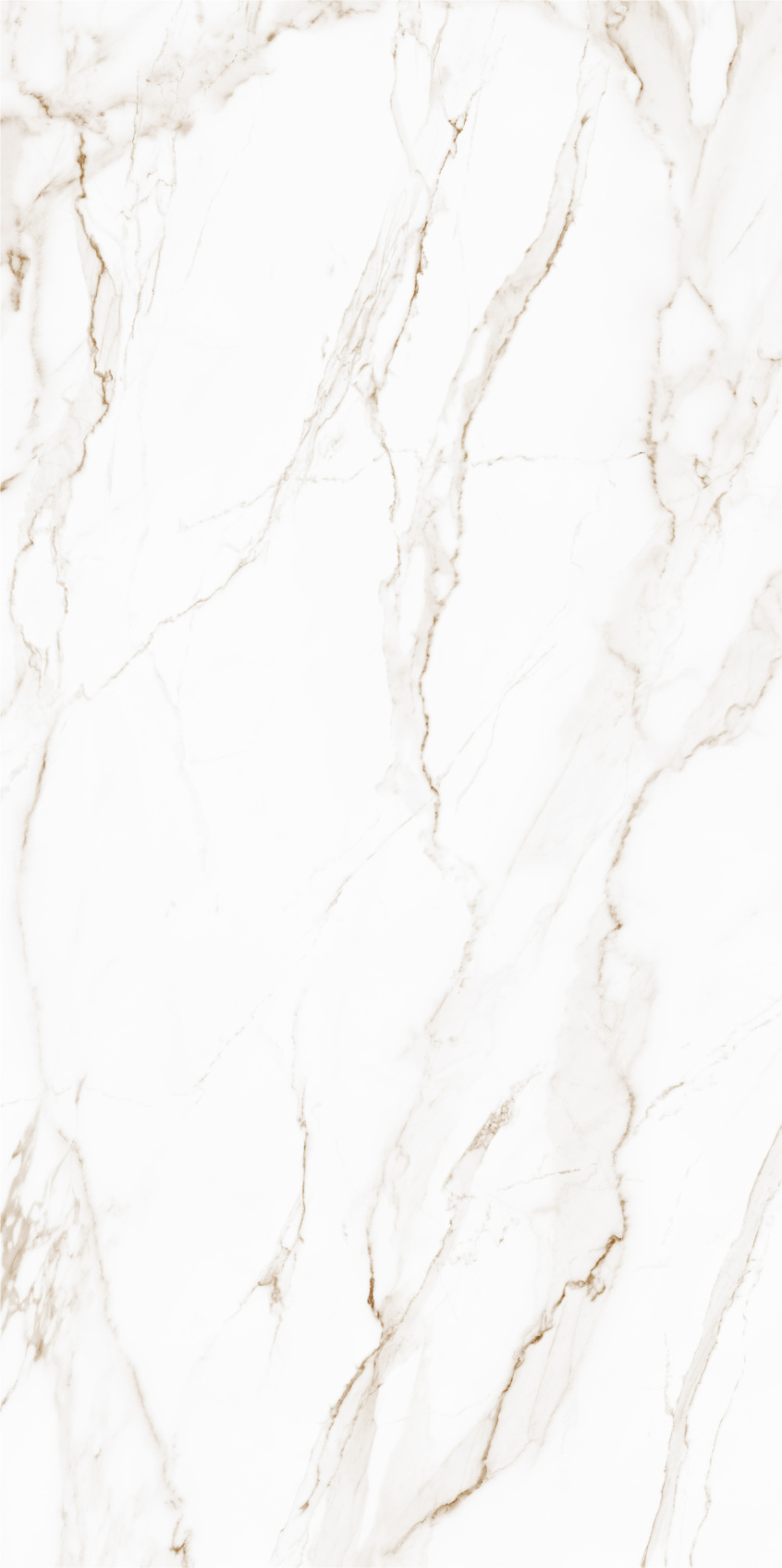 Керамический гранит Gracia Ceramica Golden white PG 01 матовый 600х1200