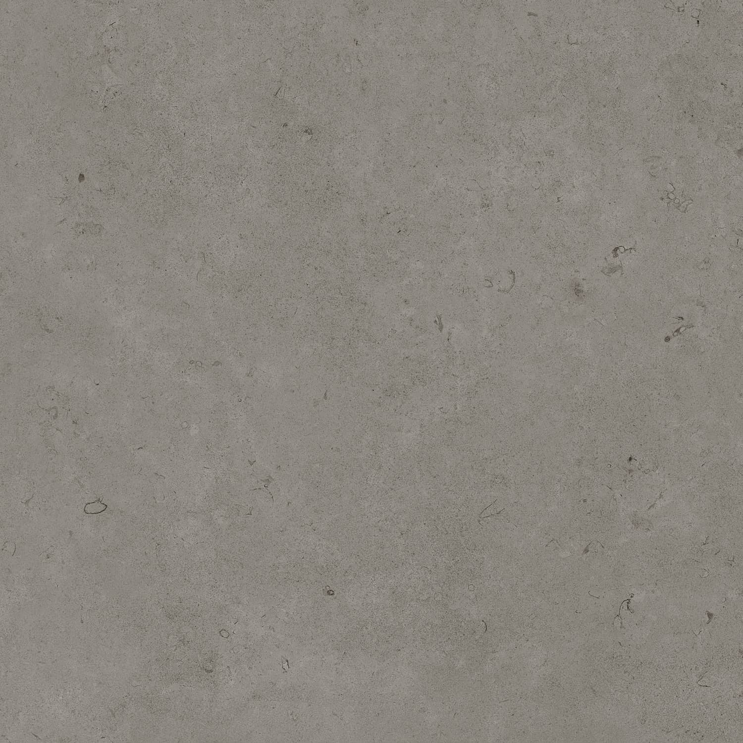 Керамический гранит Primavera Суган Matt 60x60 NG139