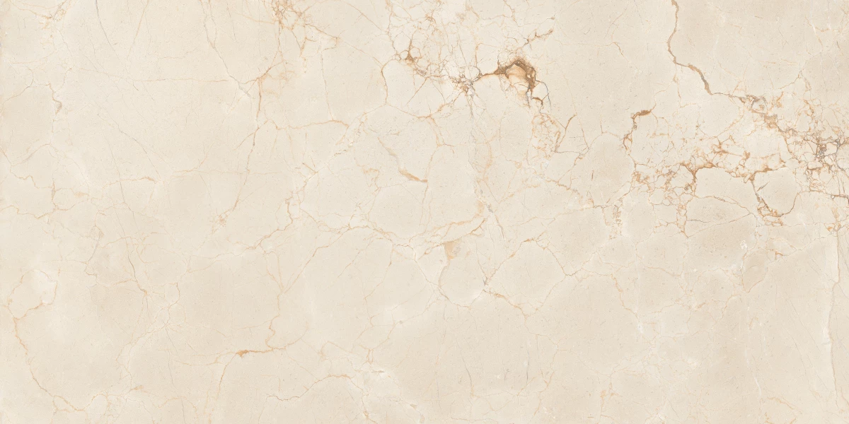 Керамический гранит MAIMOON CERAMICA ITACID CRIOX MOSS Carving 60х120