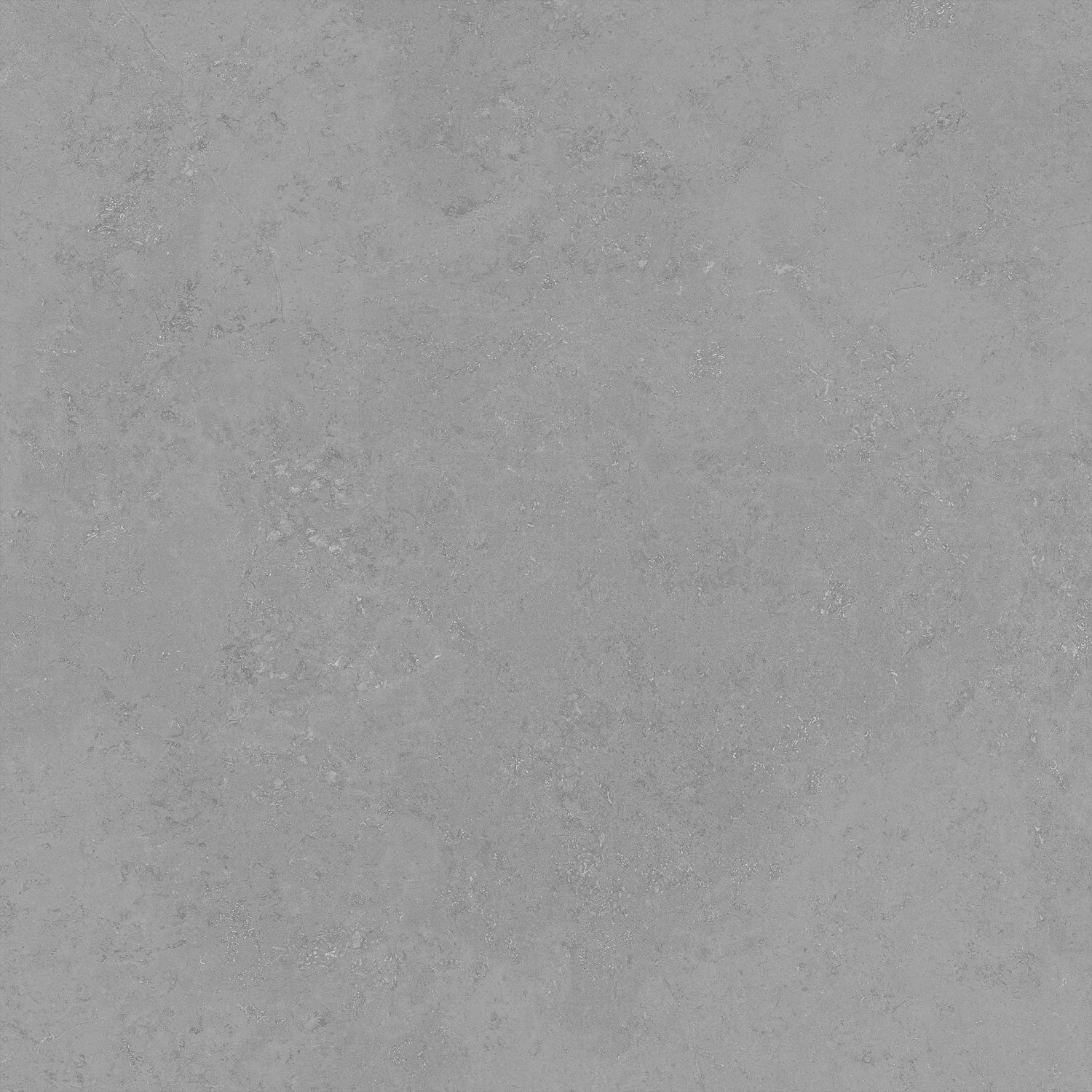 Керамический гранит Primavera Тайкан светло-серый Matt 60x60 NG107