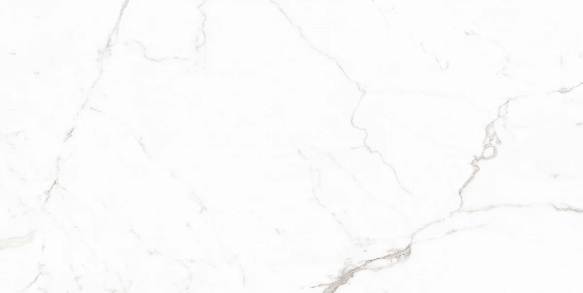 Керамический гранит MAIMOON CERAMICA 12053 Carving матовый 60х120