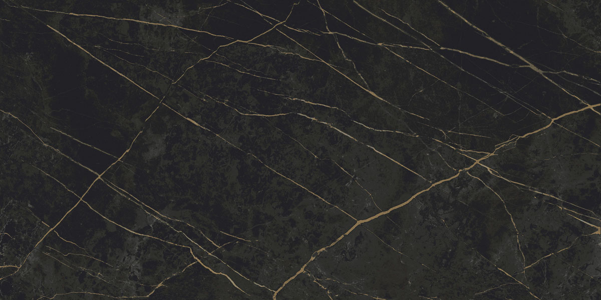 Керамический гранит Sandra CF013 MR матовый черно-оливковый 600х1200