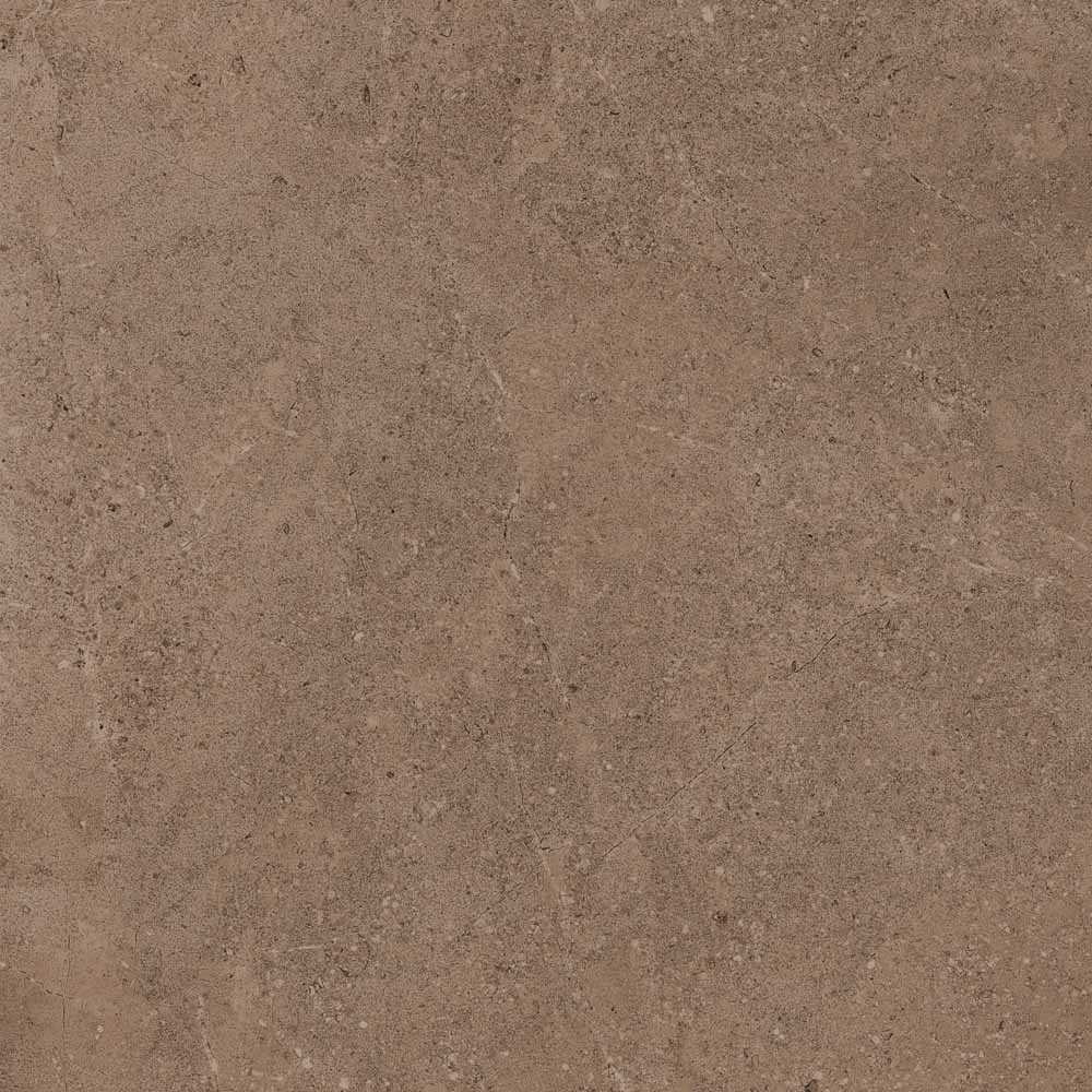 Керамический гранит Estima Gobi GO02 Dark Beige неполированный 60x60