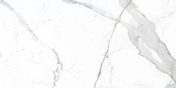 Керамический гранит Primavera Dario NR201 матовый