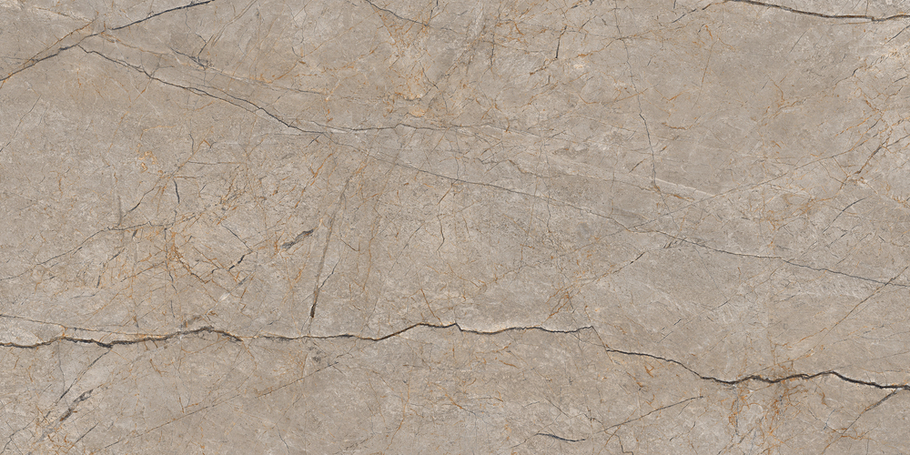 Керамический гранит Cersanit Futura Silver Roots серый ректификат 60x120 A17124