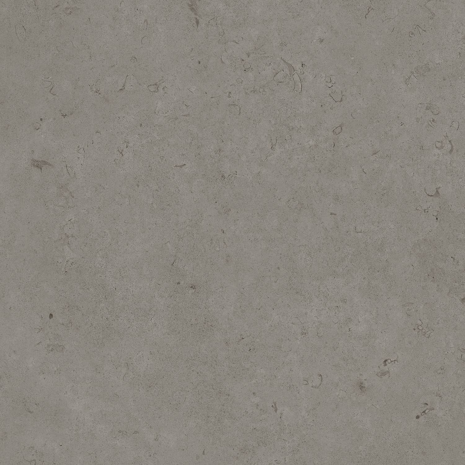 Керамический гранит Primavera Суган Matt 60x60 NG139