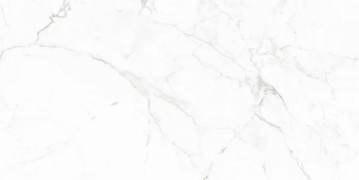 Керамический гранит MAIMOON CERAMICA 12053 Carving матовый 60х120