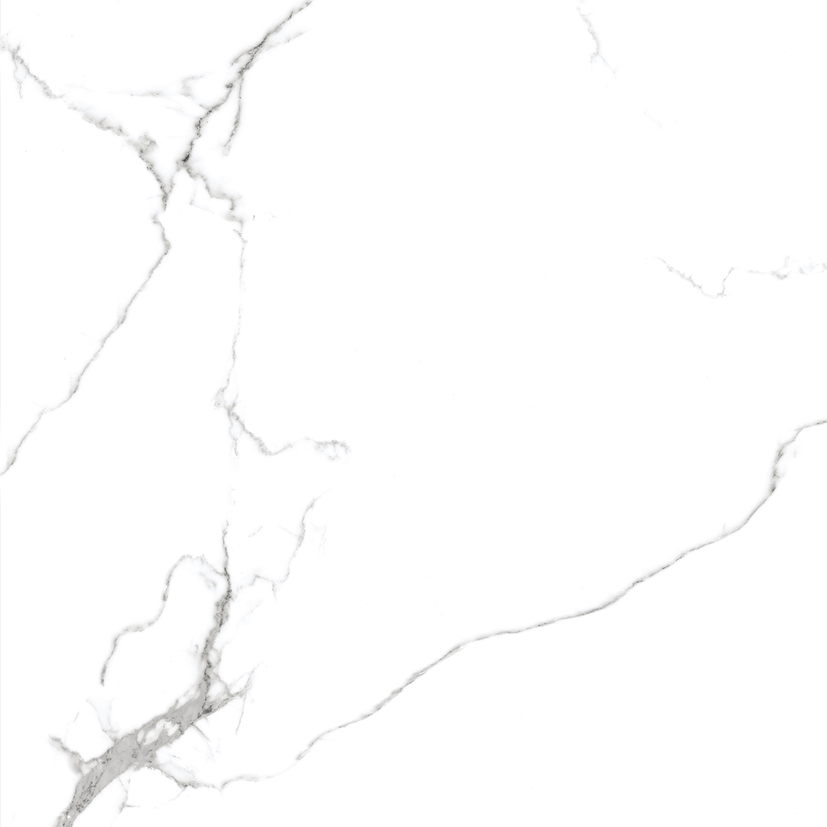 Керамогранит Royce Calacatta Venatino R_PR1001 полированный