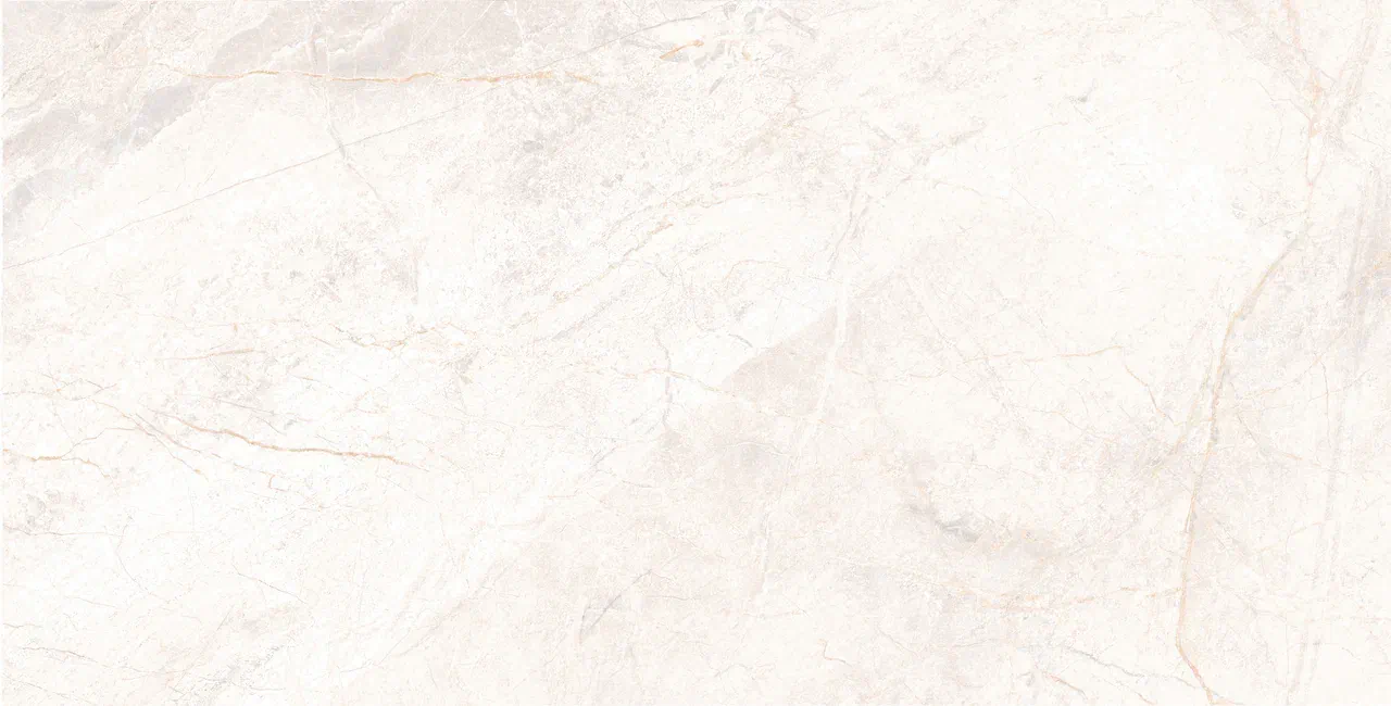 Керамический гранит Usak Seramik Manavgat Bone Polished 60x120