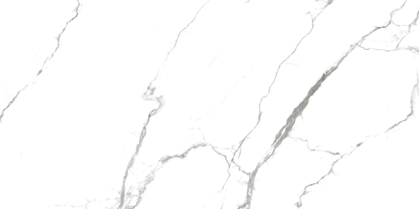 Керамический гранит Primavera ACOTHLY 60х120 PR222 полированный