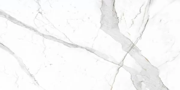 Керамический гранит Primavera Dario NR201 матовый