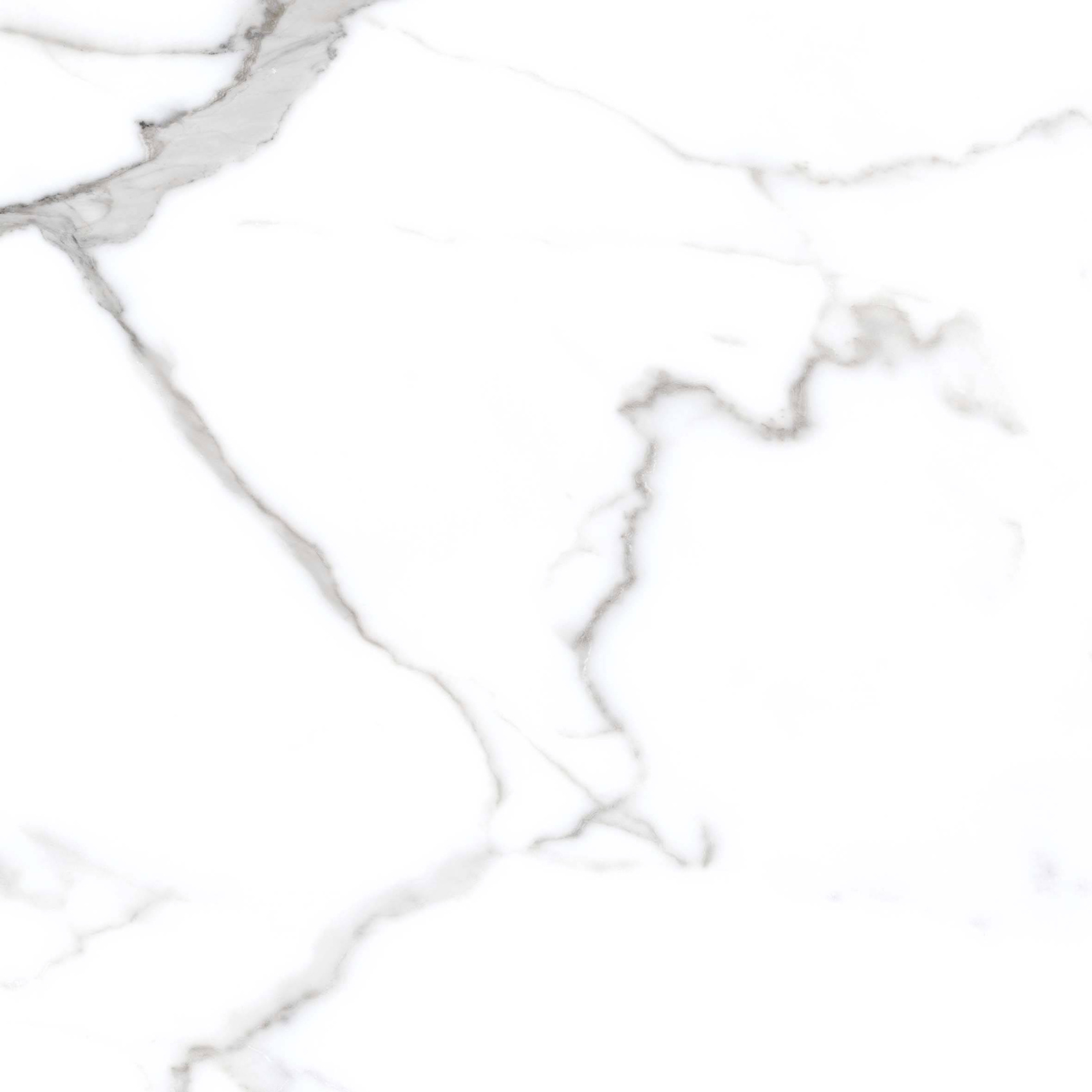 Керамический гранит Primavera Salvatore 60х60 PR107 полированный