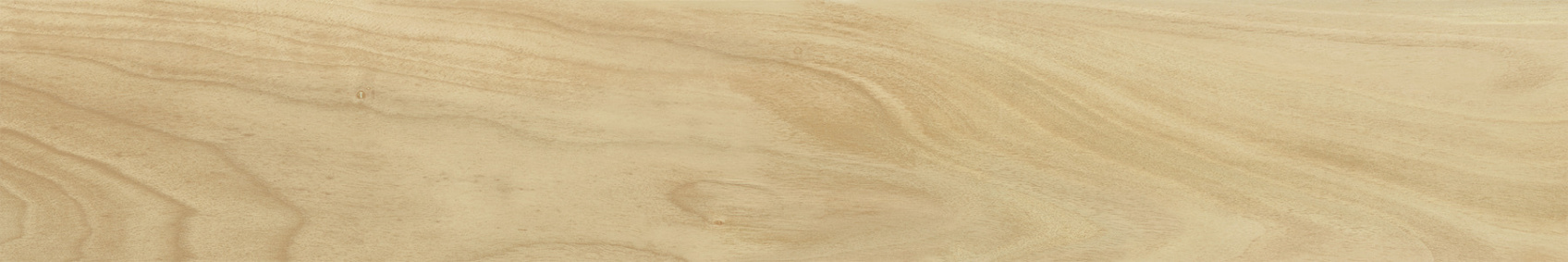 Керамический гранит Italon Мезон Шампейн 20х120