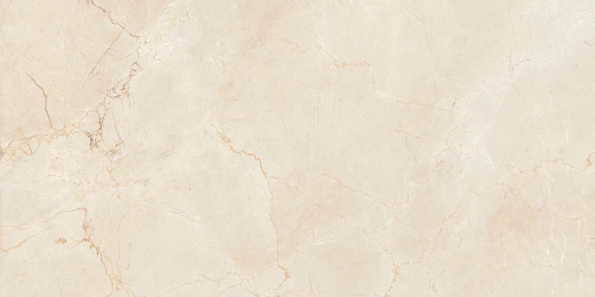 Керамический гранит MAIMOON CERAMICA ITACID CRIOX MOSS Carving 60х120