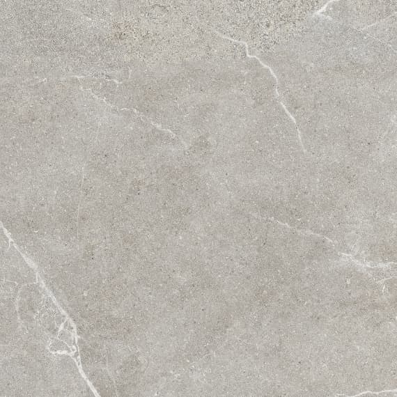 Керамический гранит Lasselsberger Ceramics Гроза 6461-0415 60х60 серо-бежевый