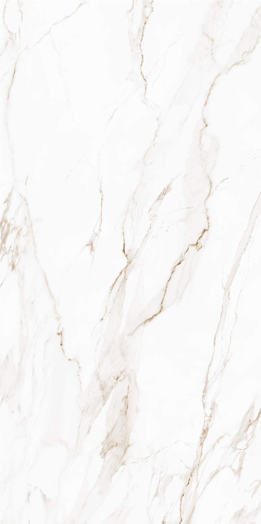 Керамический гранит Gracia Ceramica Golden white PG 01 матовый 600х1200