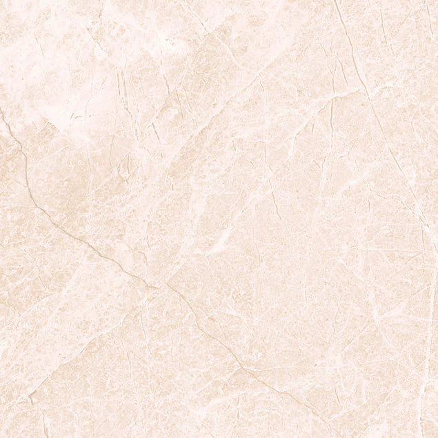 Керамический гранит Primavera Джимара TP66M11 матовый