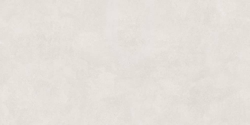 Керамический гранит Lasselsberger Ceramics Иней 6493-0137 60х120 светло-серый