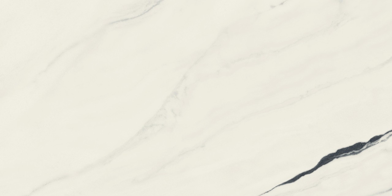 Керамический гранит Atlas Concorde Форте Дей Марми Панда Вайт Рет 60х120 Чер