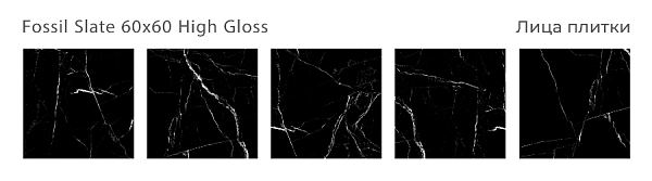 Керамический гранит Fossil Slate High Gloss 60x60 в Уфе — купить с доставкой | Nova