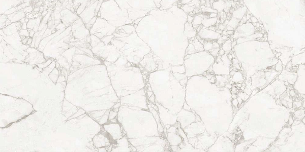 Керамический гранит MAIMOON CERAMICA EXOTIC WHITE Carving 60х120 в Уфе — купить с доставкой | Nova