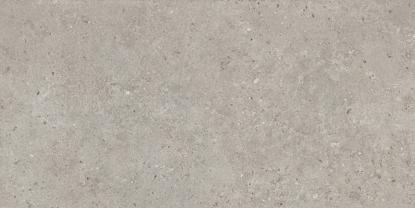 Керамический гранит Kerama Marazzi Риккарди SG519920R серый светлый матовый обрезной 60х119,5 в Уфе — купить с доставкой | Nova