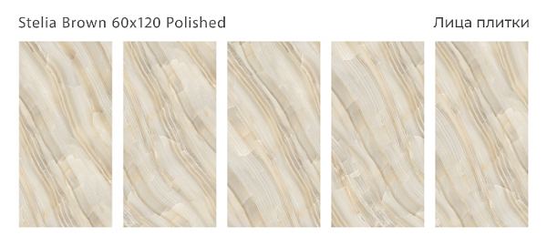 Керамический гранит Stelia Brown Polished 60x120 в Уфе — купить с доставкой | Nova