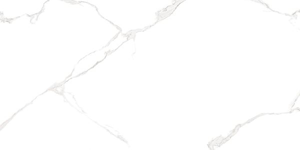 Керамическая плитка AltaCera Bayron Elemento Bianco Carrara глянцевая 25х50 WT9ELT00 в Уфе — купить с доставкой | Nova
