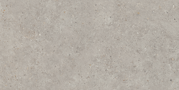 Керамический гранит Kerama Marazzi Риккарди SG519920R серый светлый матовый обрезной 60х119,5 в Уфе — купить с доставкой | Nova