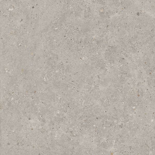 Керамический гранит Kerama Marazzi Риккарди SG653720R серый светлый матовый обрезной 60х60 в Уфе — купить с доставкой | Nova