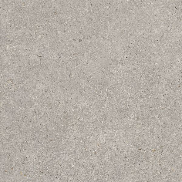 Керамический гранит Kerama Marazzi Риккарди SG653720R серый светлый матовый обрезной 60х60 в Уфе — купить с доставкой | Nova